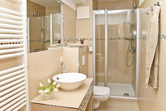 moderner Komfort im Bad mit Dusche und WC